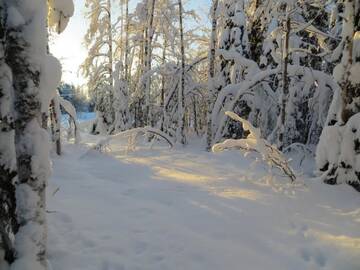 Фото номера Коттедж Дома для отпуска Myllyn Pirtti Cottage г. Наамийоки 24